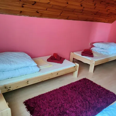 V Zachranne Stanici Pasicka Lejlighed Prosec (Pardubice)